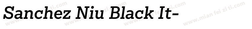 Sanchez Niu Black It字体转换